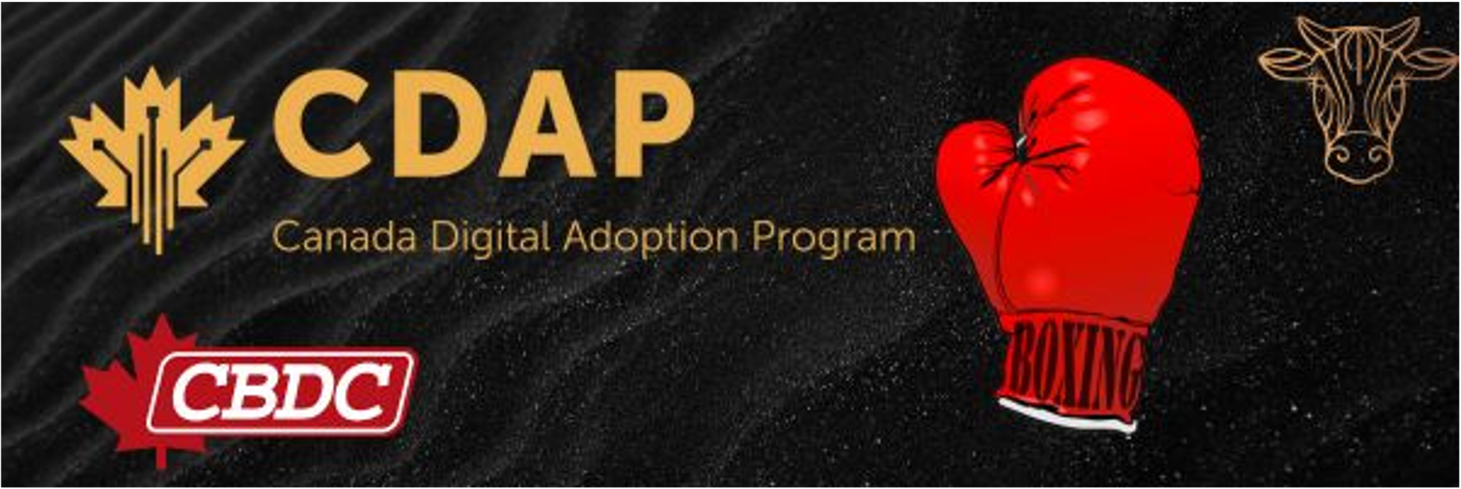 CDAP Campaign Graphic with CBDC Partnership